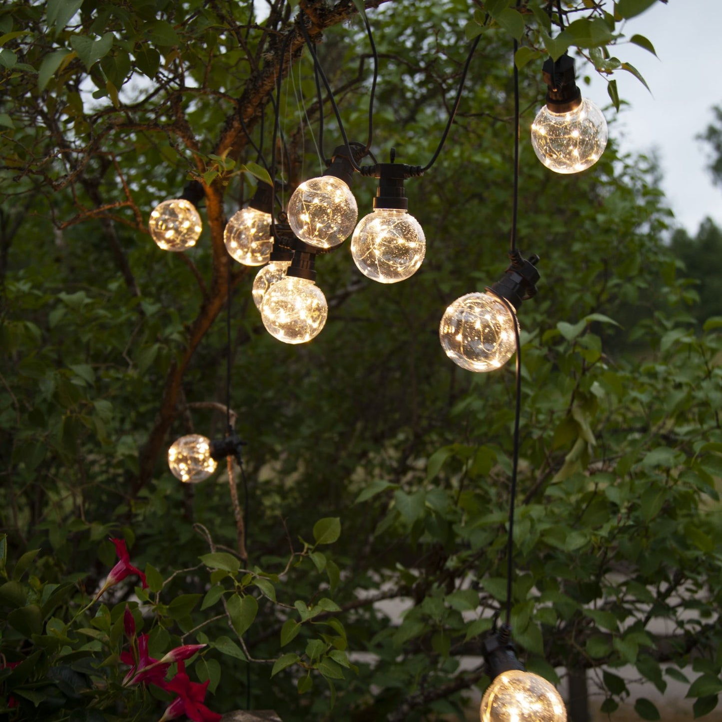 ljusslinga-big-circus-476-62-1