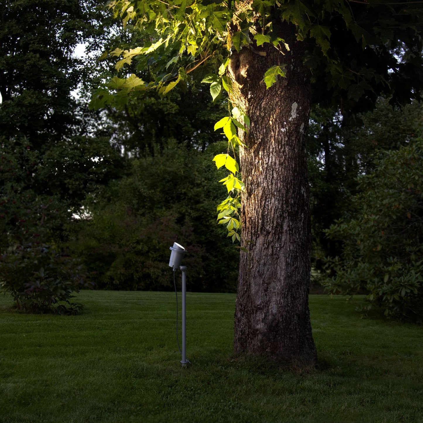 utomhusdekoration-spotlight-focus-486-41