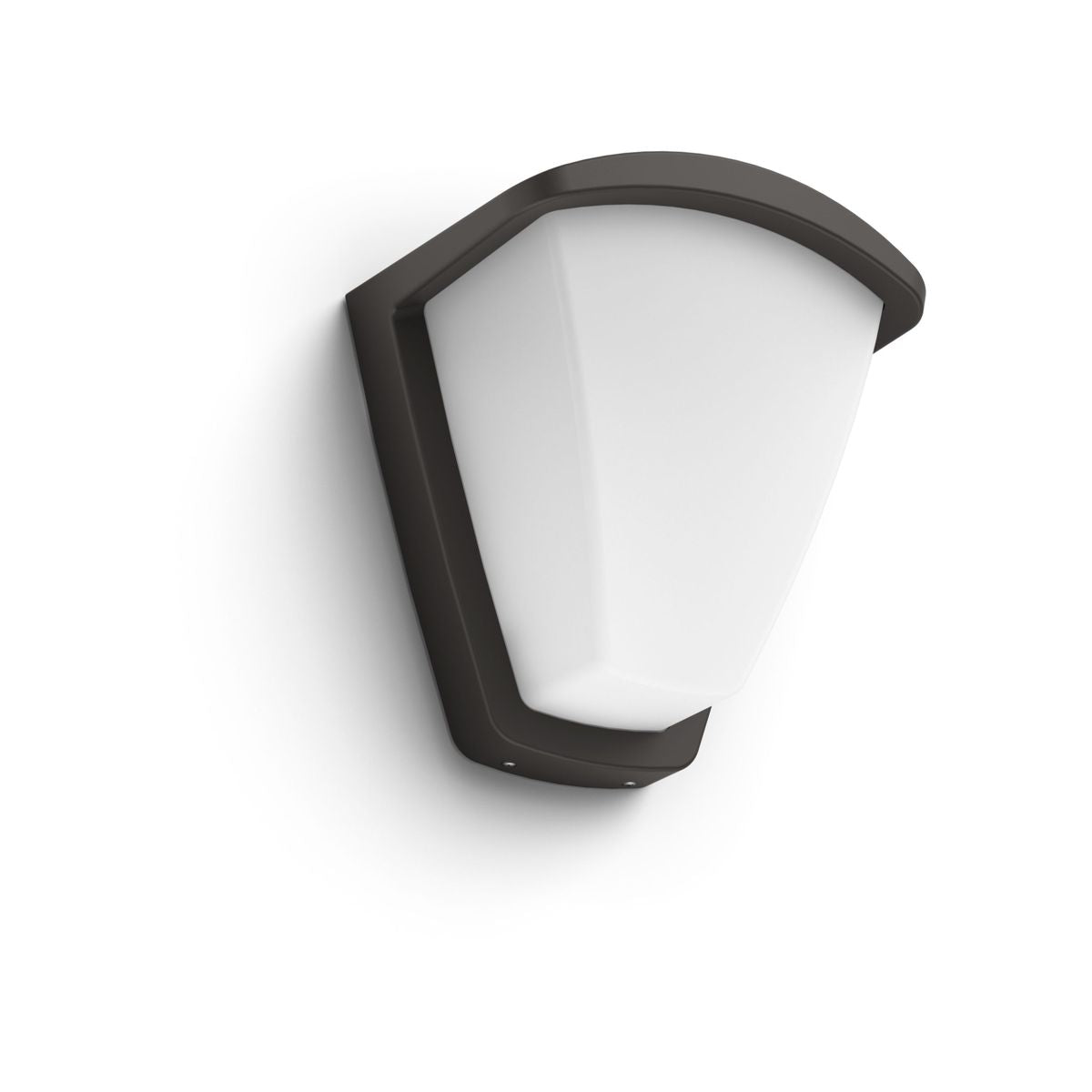 Philips - Kiskadee Wall Lantern Anthracite 1x42W