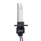 Lampa ksenonowa D2H 50-70W Speedstart | Dodatkowe światło