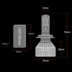 Dioda LUXTAR® Premium Canbus H7