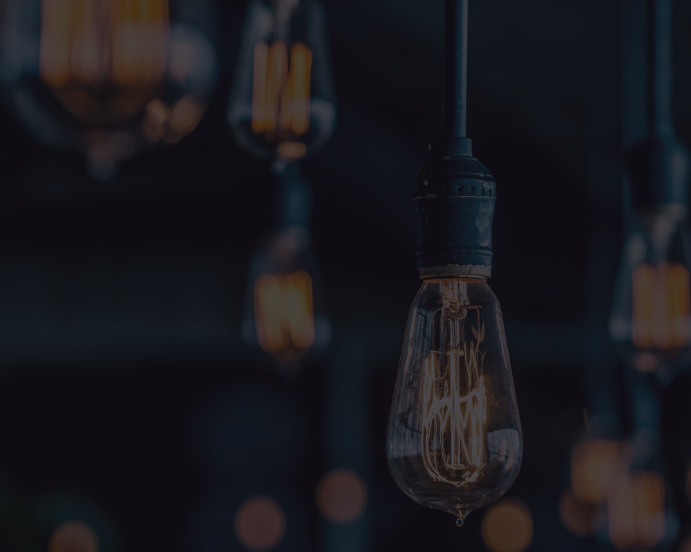 Większość kupiona podczas wyprzedaży